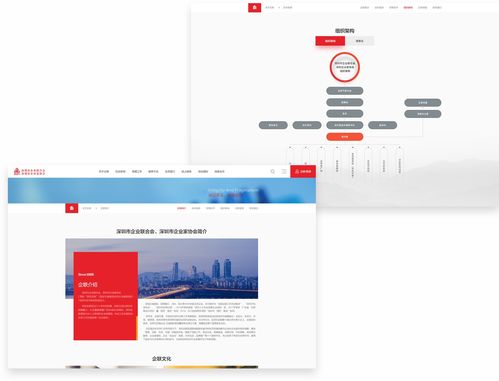 深圳企業(yè)聯(lián)合會(huì)攜手沙漠風(fēng)網(wǎng)站建設(shè)公司，打造長(zhǎng)春企業(yè)數(shù)字化轉(zhuǎn)型標(biāo)桿